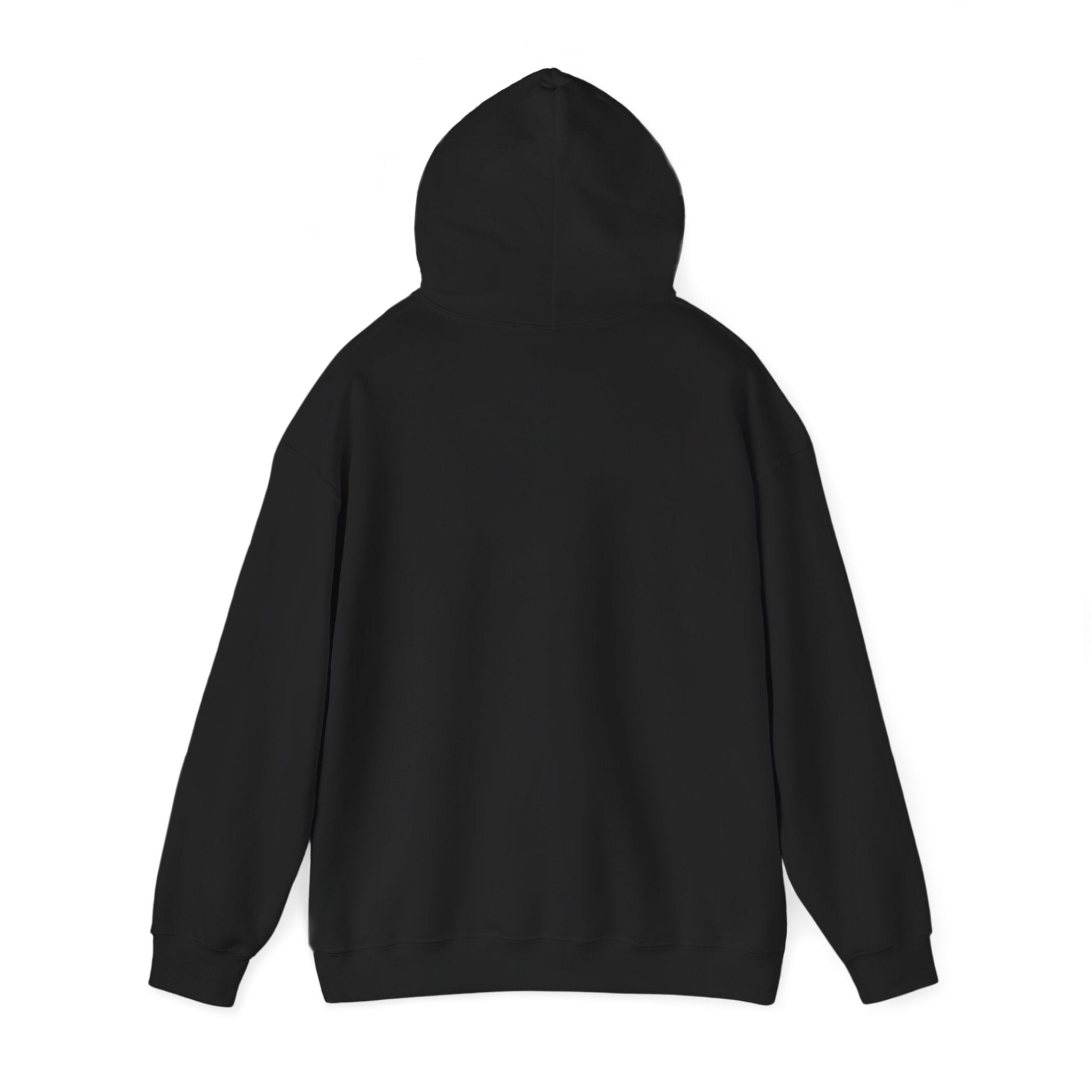 Earth Graphic Hoodie — Planet Globe Pullover for Environmental Lovers